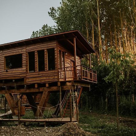 Bonita Cabana De Los Arboles En La Rioja , Durmiendo Entre Arboles Anguciana Exterior foto