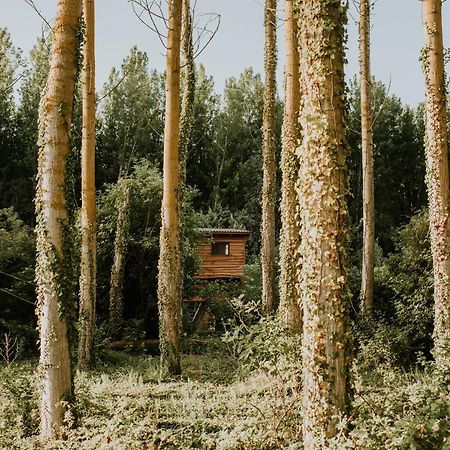 Bonita Cabana De Los Arboles En La Rioja , Durmiendo Entre Arboles Anguciana Exterior foto