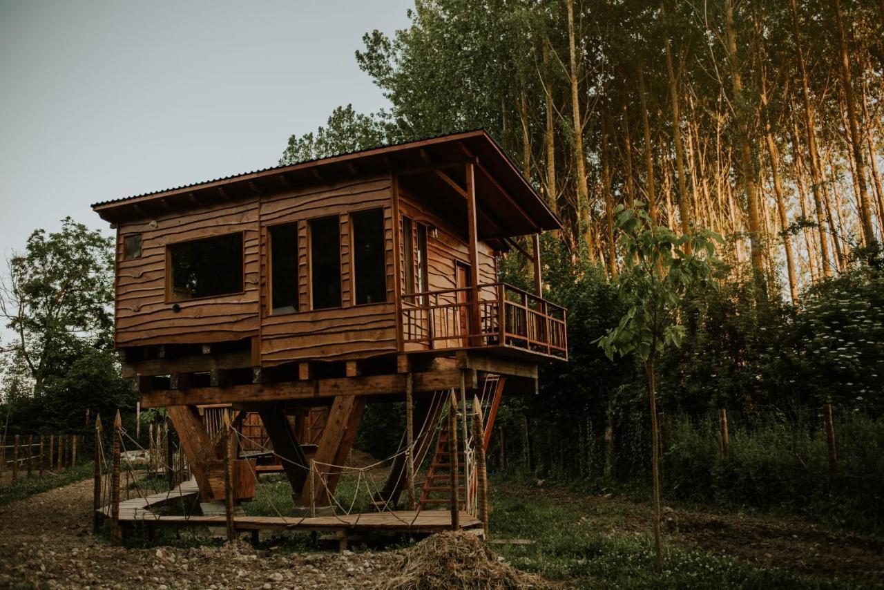 Bonita Cabana De Los Arboles En La Rioja , Durmiendo Entre Arboles Anguciana Exterior foto