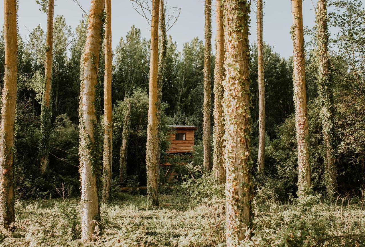 Bonita Cabana De Los Arboles En La Rioja , Durmiendo Entre Arboles Anguciana Exterior foto