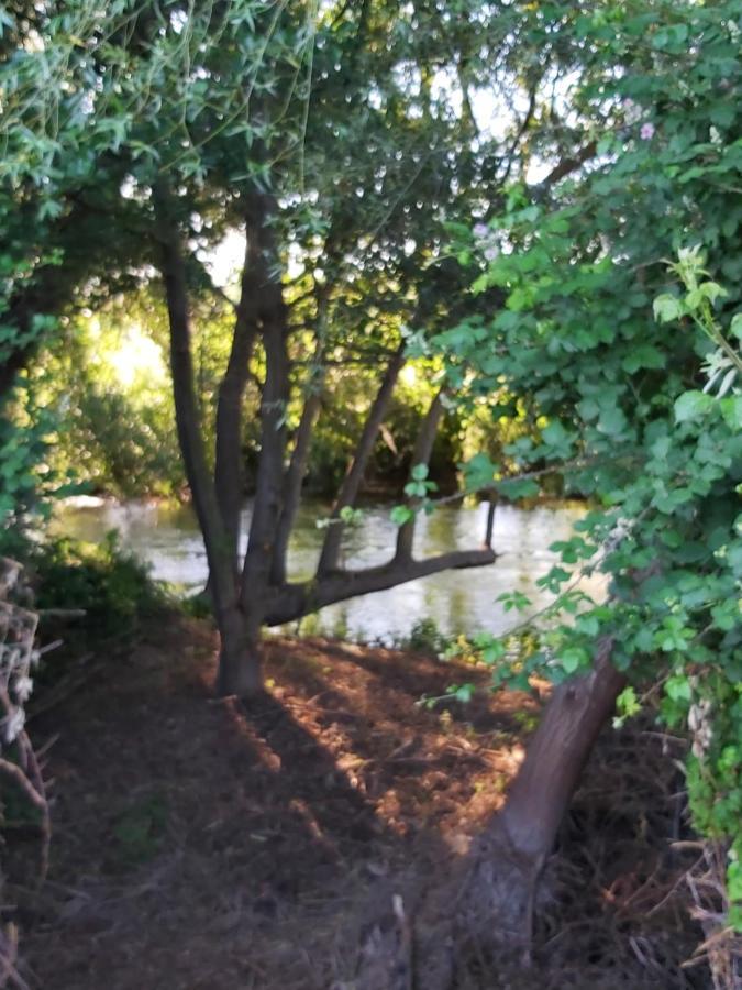 Bonita Cabana De Los Arboles En La Rioja , Durmiendo Entre Arboles Anguciana Exterior foto